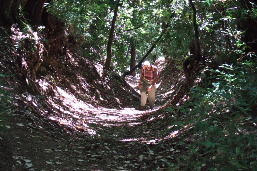 David plods up the highly-trenched trail.