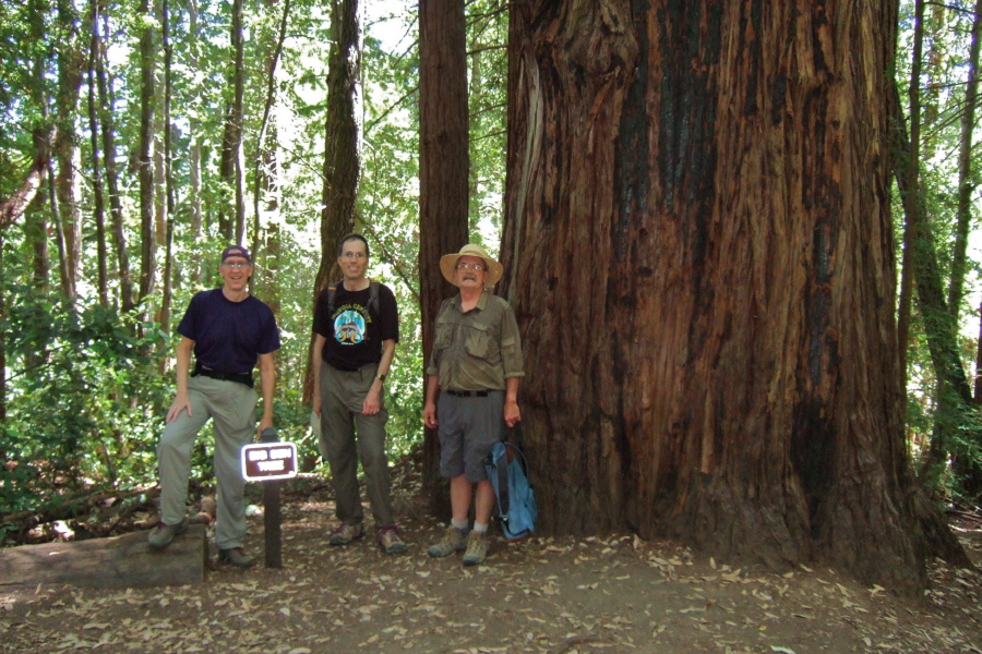 Steve, Bill, and Ron at the Big Ben Tree