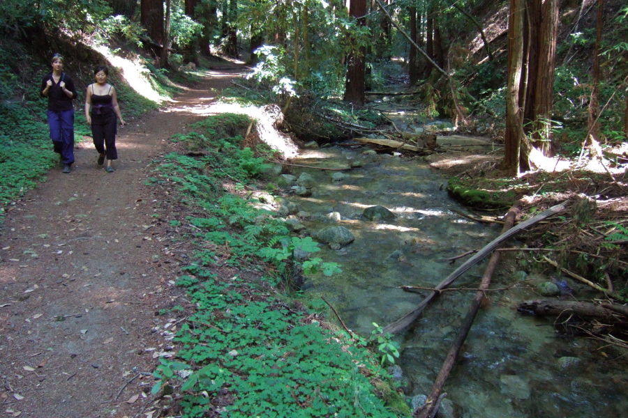 Here the trail is easy as it runs alongside a gently-flowing creek.