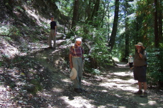 Ron takes a call from Alice while Steve leads the way up the start of the day's climb.