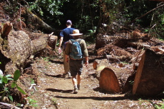 Steve and Ron descend the Fall Creek Trail through an area of fallen trees.