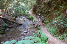 Steve and Ron on the trail as the creek passes through a short slot canyon.