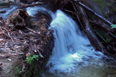 Short cascade on Fall Creek
