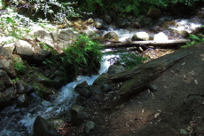 Lime Kiln Creek flows into Fall Creek.