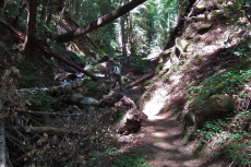 Hikers descend the Lime Kiln Trail.