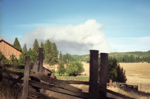 Smoke from forest fire