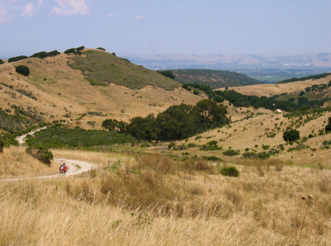 Looking down Pilarcitos Canyon.