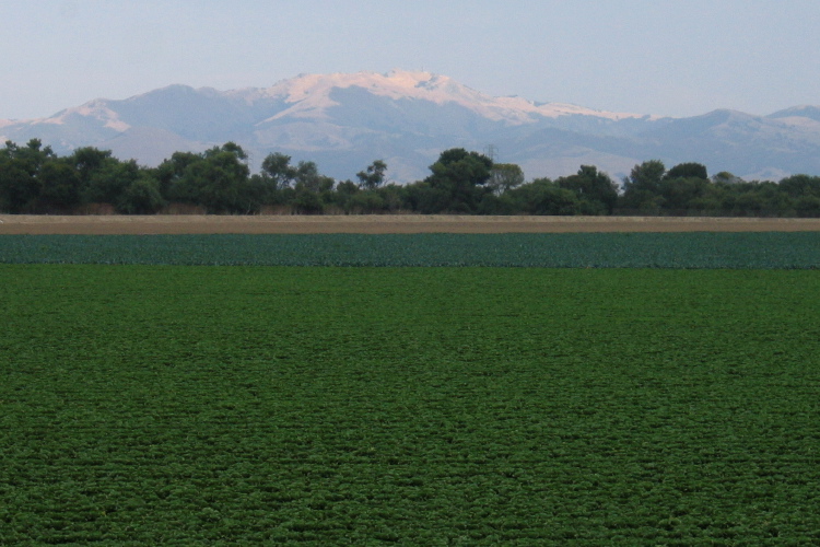 Fremont Peak (3169ft) with a spot of sunlight.