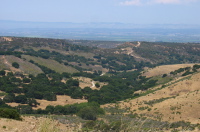 View of Pilarcitos Canyon from Skyline Rd.