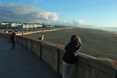 Lisa goes for the perfect photo of the seagull at Ocean Beach.