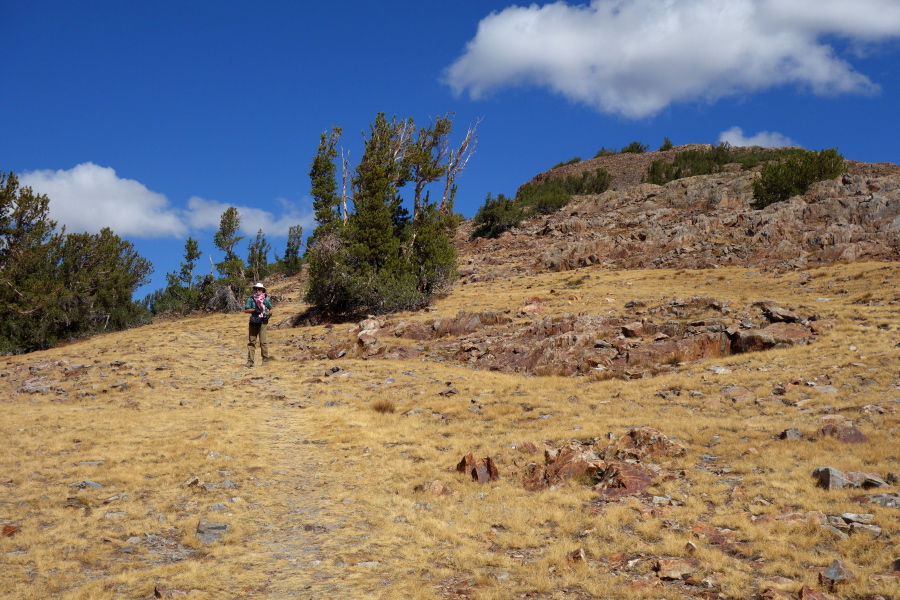 Frank leads the way to the summit.