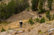 Bill presses up the trail; Pauline and Bogdan follow.