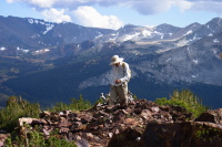 David reaches the summit of Gaylor Peak (11004ft)