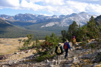 David, Ron, and Zach descend through the tree line to Tioga Pass.