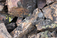 Lichens growing on the clinkers on Gaylor Peak (11004ft)