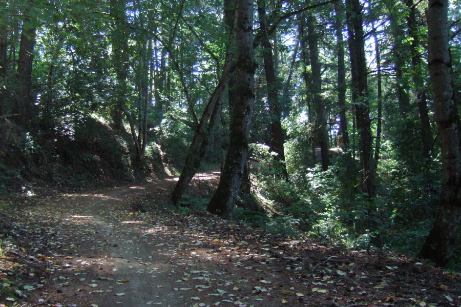 Climbing Grizzly Flat Trail North