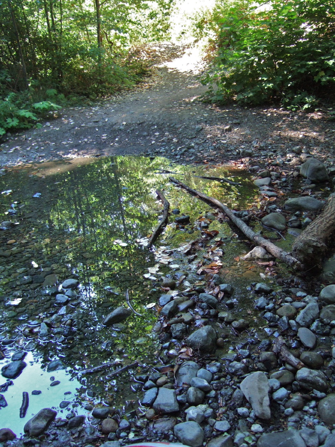 First crossing of Stevens Creek