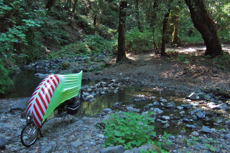 Grizzly Flat Trail crosses Stevens Creek.