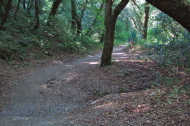 Canyon Trail as it enters Palo Alto city limits