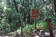 Start of Grizzly Flat Trail