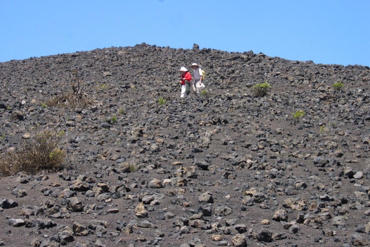 Kay and David hiking down the Sliding Sands Trail.