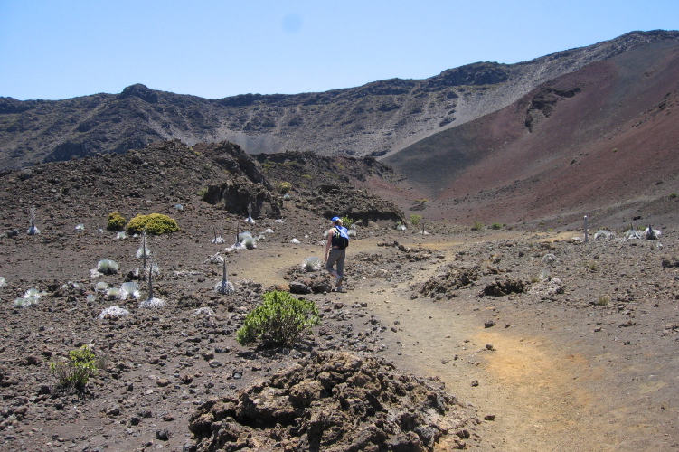 Laura hiking up the Sliding Sands trail past the silverswords.