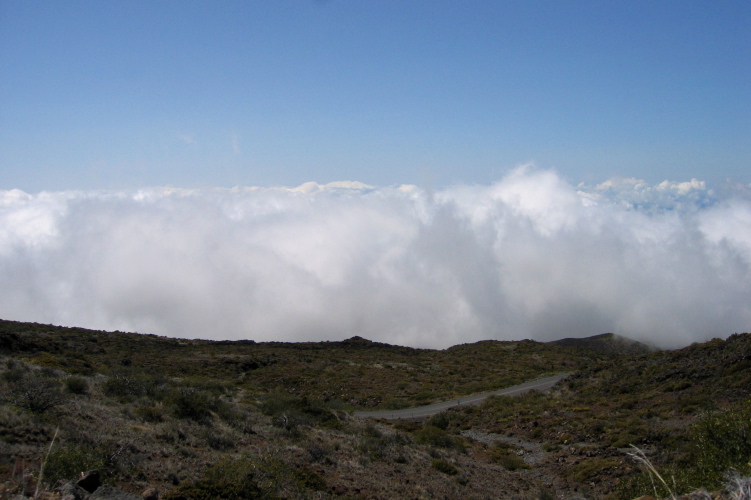 Descending into the clouds on the drive down the mountain.