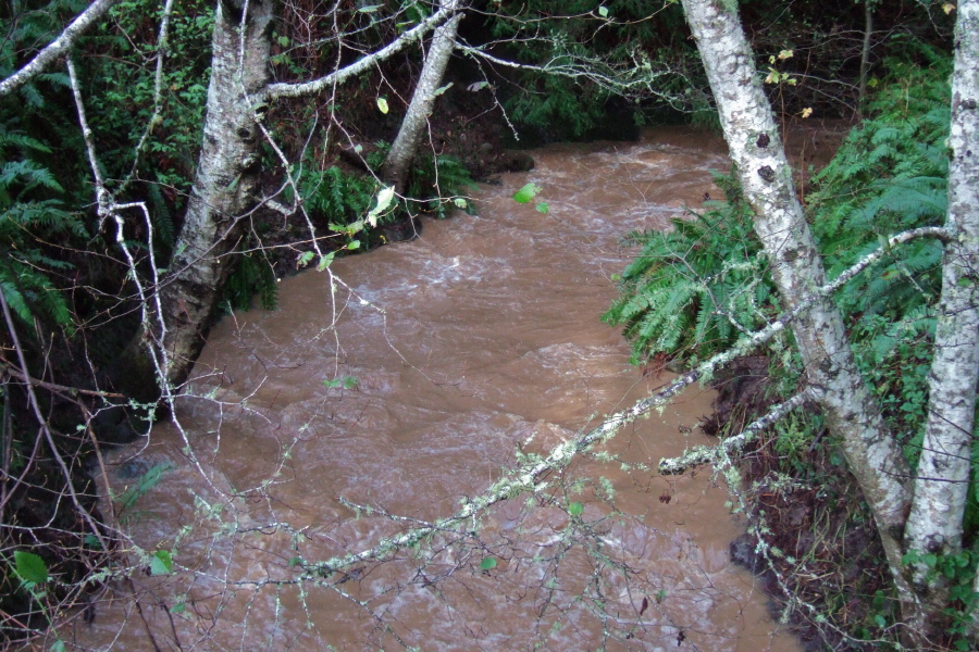 Swift and muddy Purisima Creek