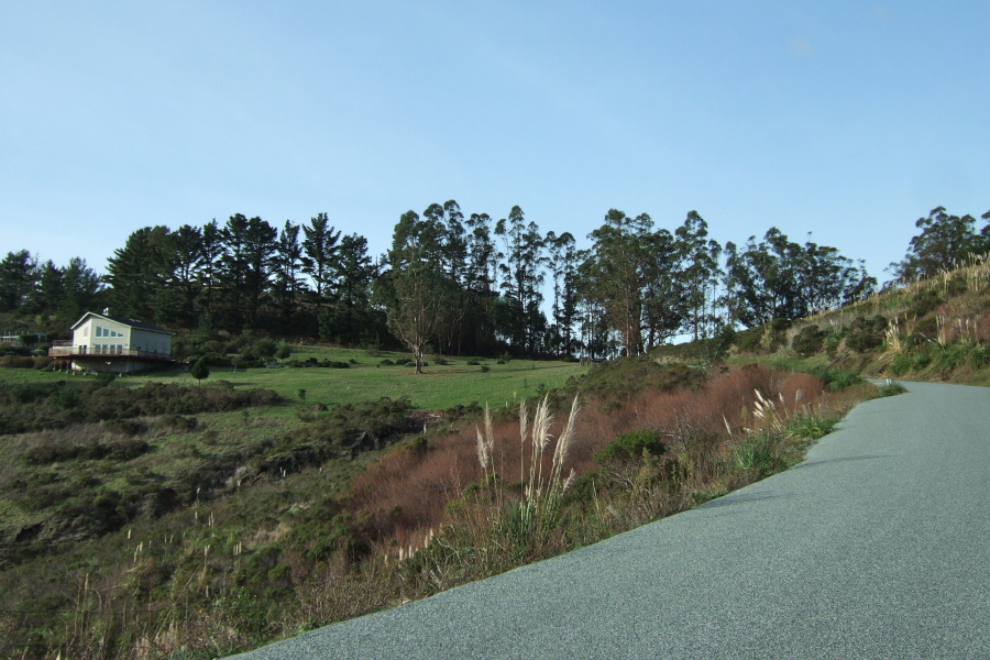 Climbing Higgins-Purisima Road