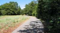On the bike path between Los Altos and Arastradero Rd. (80ft)