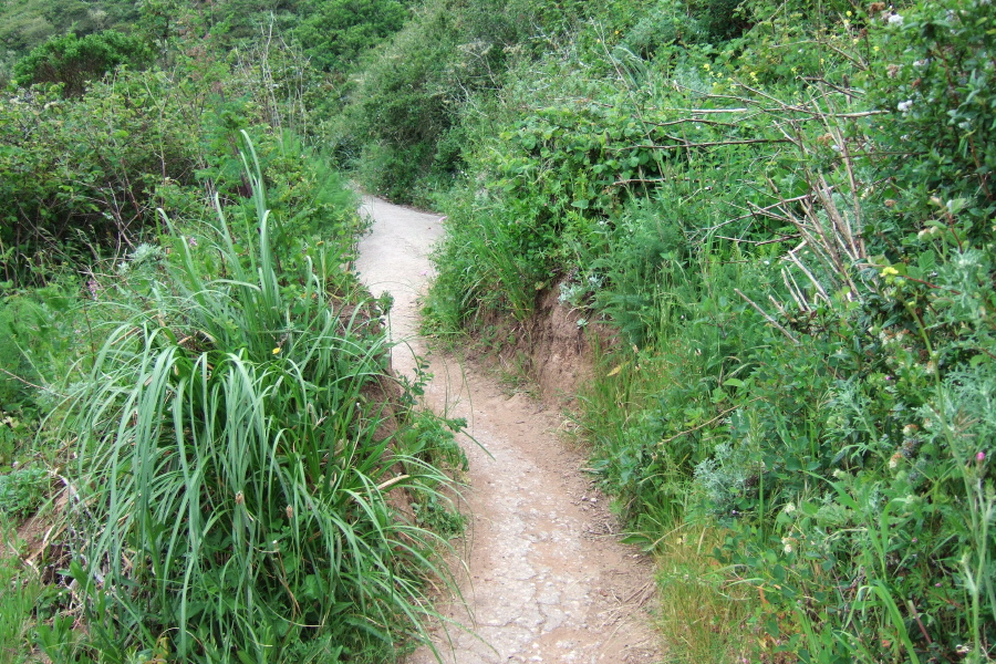 The road becomes a narrow trail occasionally.