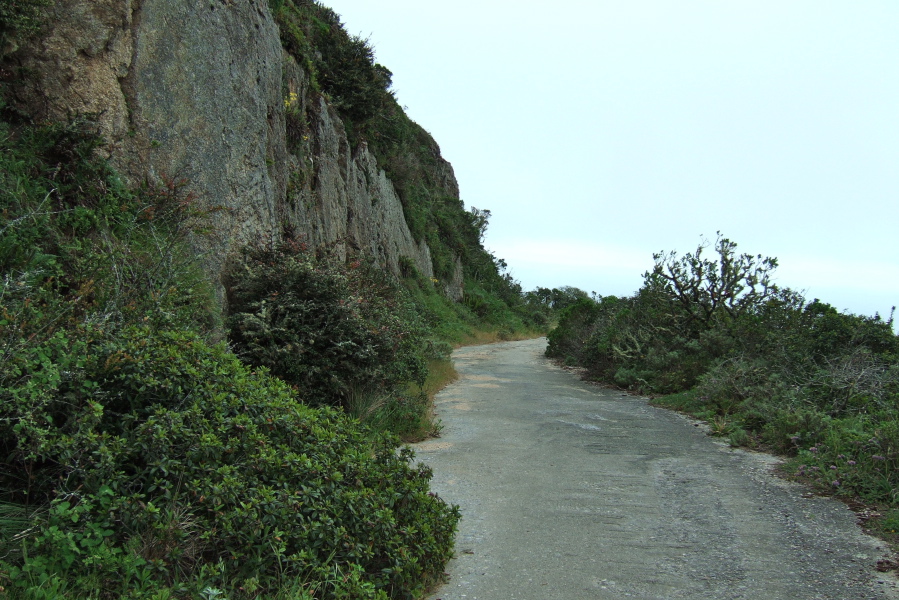 San Pedro Mountain Rd. south of the summit