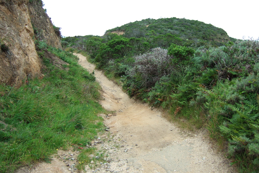 One more singletrack section before we join North Peak Trail.