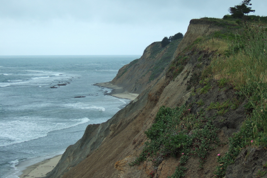 View north along the Bluffs near Pillar Point