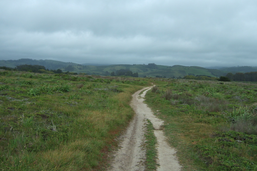 Heading inland to avoid having to cross a deep ravine