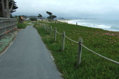 Half Moon Bay Coastal Trail between Mirada Rd. and Alcatraz Ave.