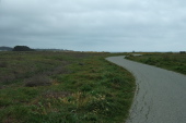 Continuing south on the Coastal Trail near Kelly Ave.