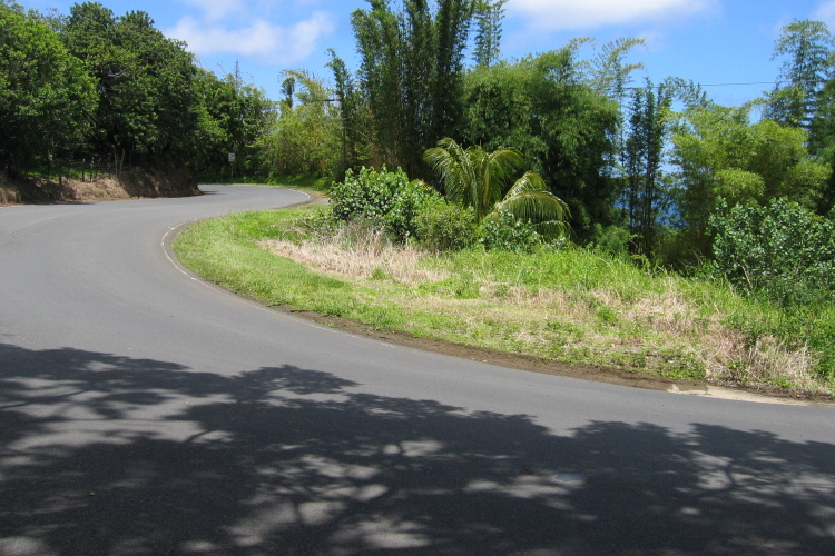 One of the many twists and turns on the Hana Highway.