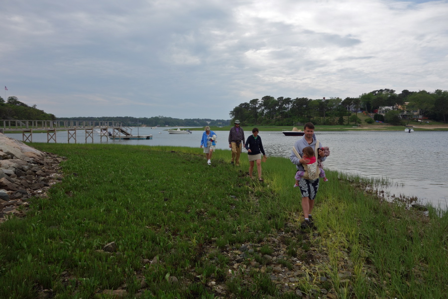 We walk along the tide line.