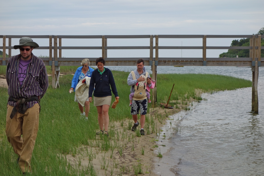 Walking on a small beach