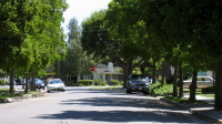 Willow Glen neighborhood (120ft)