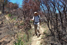 David descends the Middle Ridge Trail through the fire-blackened zone.