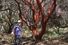 Bill P. in front of a un-burned manzanita tree