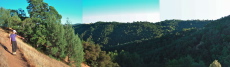 Soda Canyon Panorama