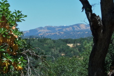 Mt. Hamilton as seen from Hobbs Road