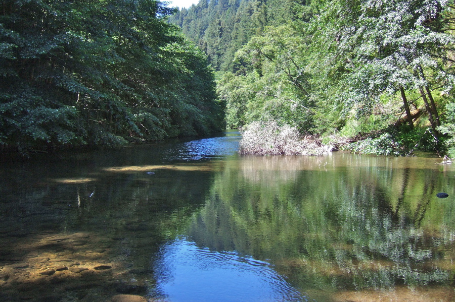 San Lorenzo River at the lowest crossing