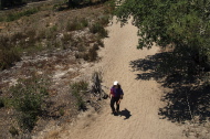 Stella approaches the Observation Deck from the sandy Ridge Trail.