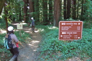 Frank and Stella start down the Buckeye Trail to the San Lorenzo River.