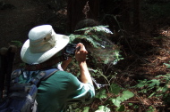 Frank takes a photo of a spider in a web.