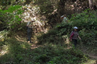 Stella, Bill, and David descend the zig-zags to the San Lorenzo River on the Buckeye Trail.